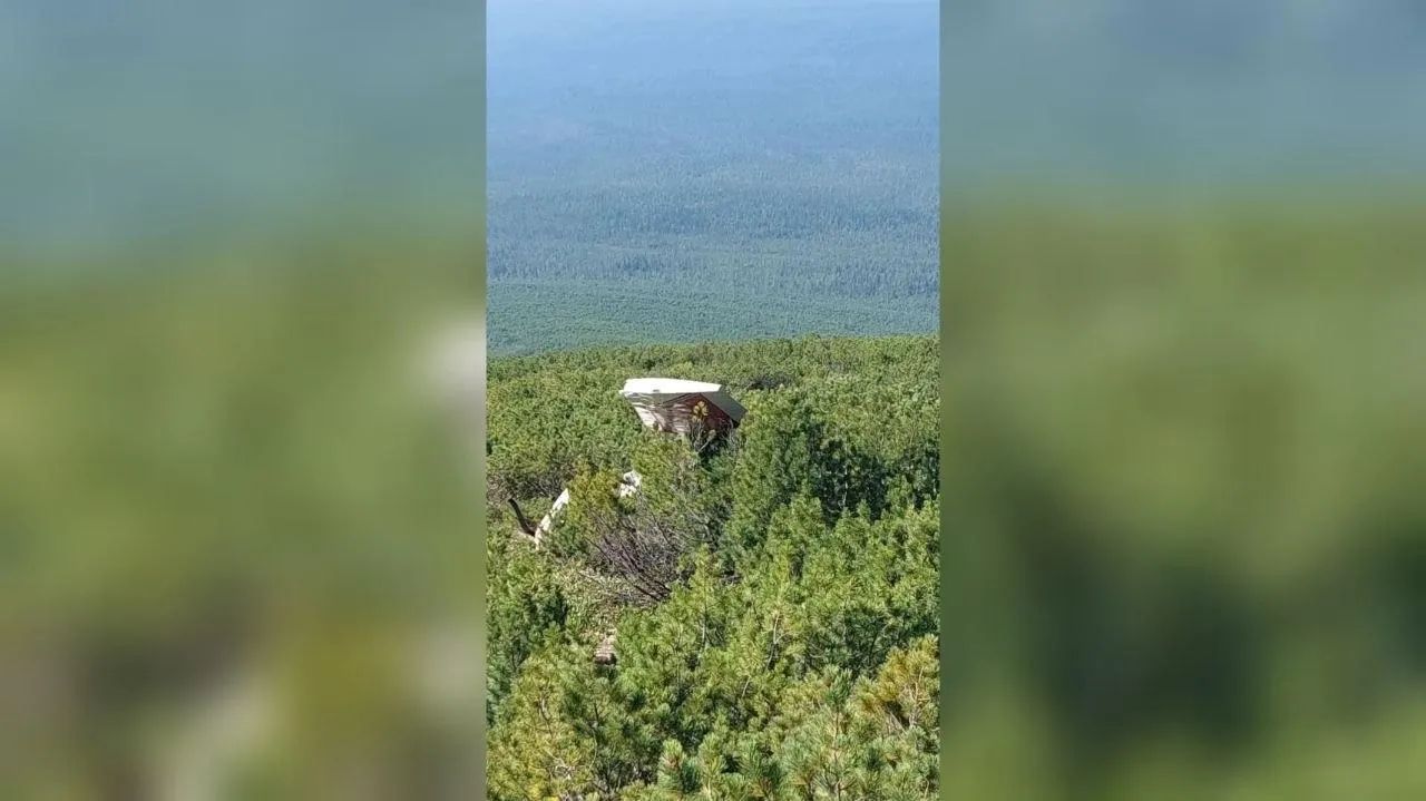 #кобзевнасвязи