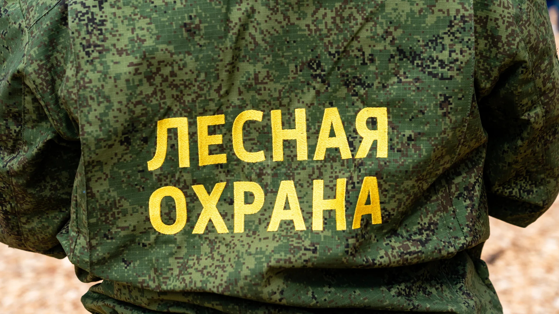 Деревья высадили в Рузском округе в рамках акции «Сад Памяти» ко Дню Победы