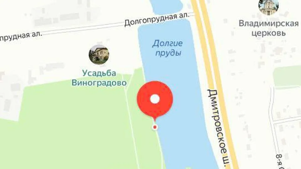 &nbsp;Место, где встретили ужей жители округа. Фото: скриншот социальные сети