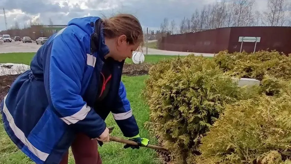 Картинка