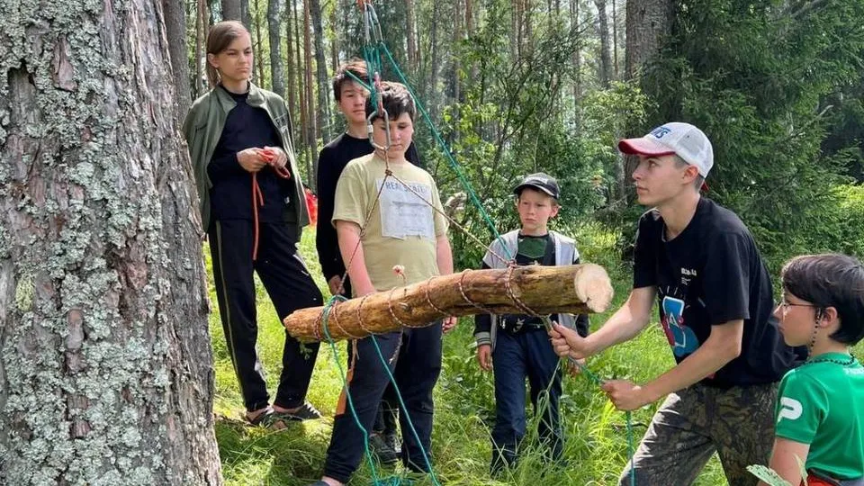 Картинка