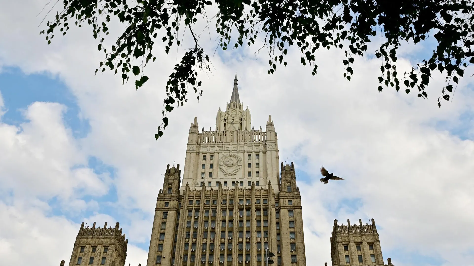 Vladimir Baranov/Globallook Press