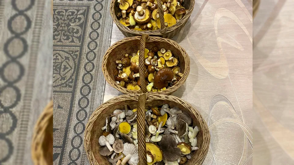 Фото из личного архива Светланы Паршковой