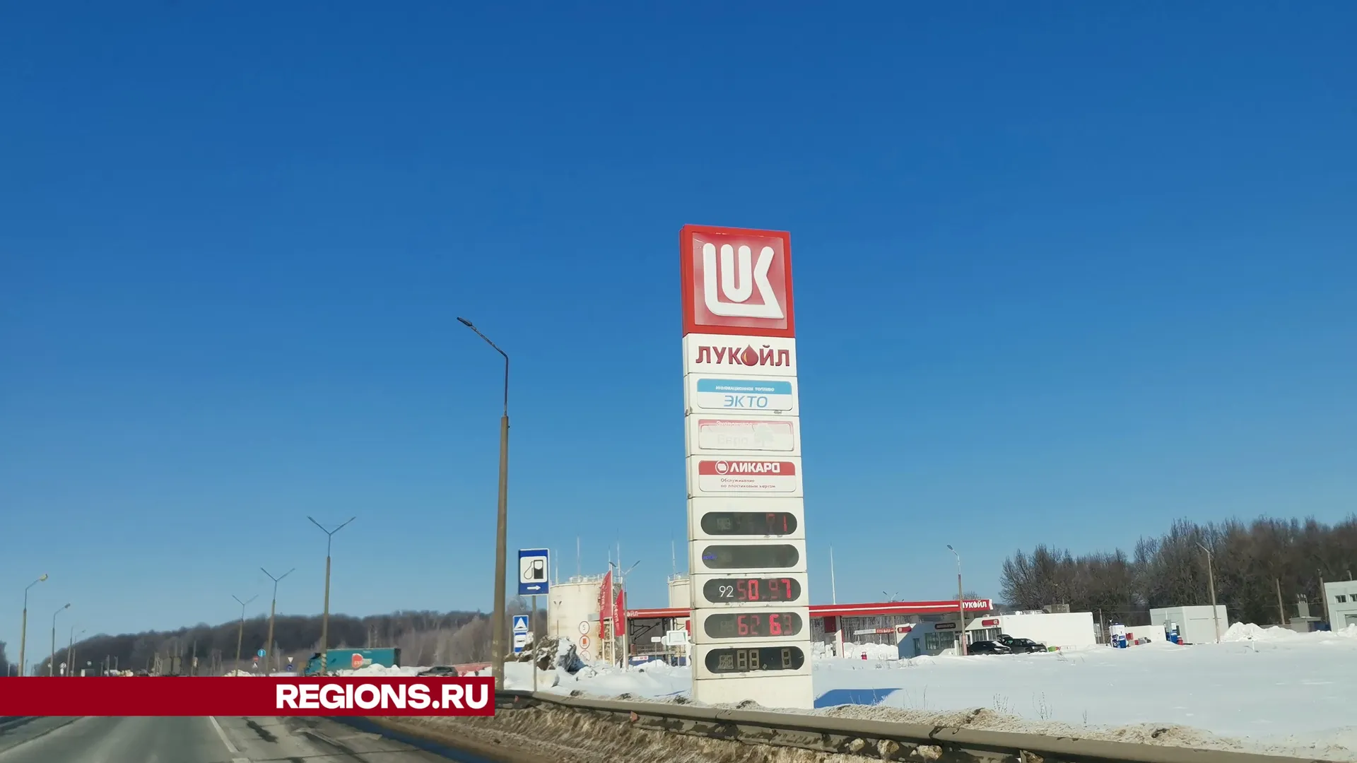 Дарья Кургузова
