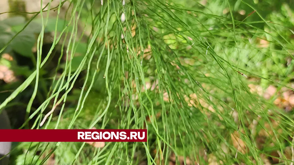 Фото: Андрей Семибратов