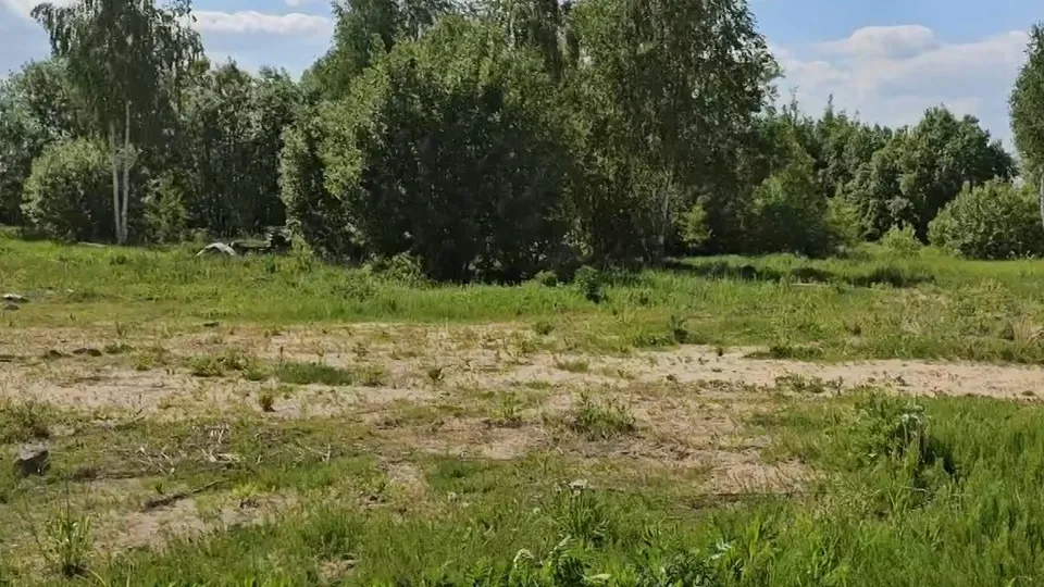 Фото: пресс-служба Администрации городского округа Луховицы