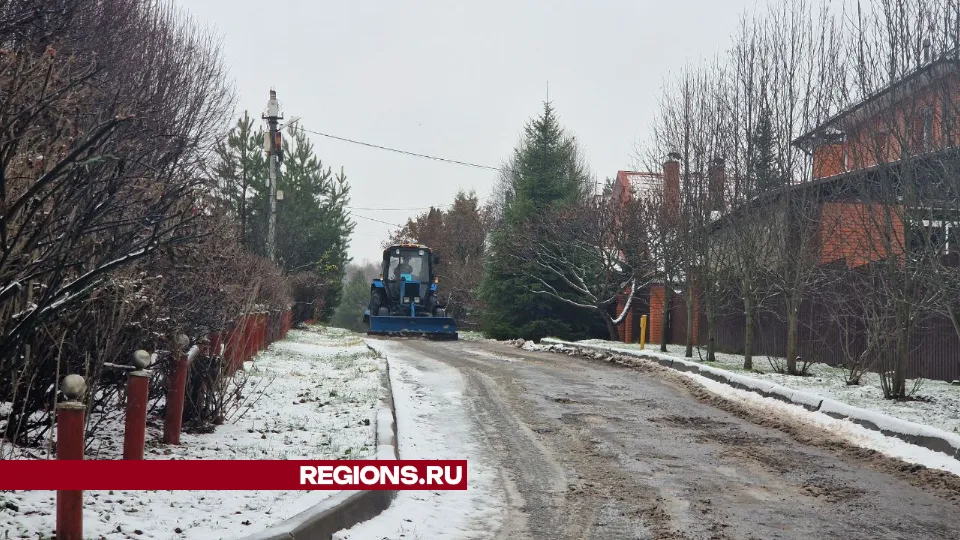 Фото: Елизавета Мороз