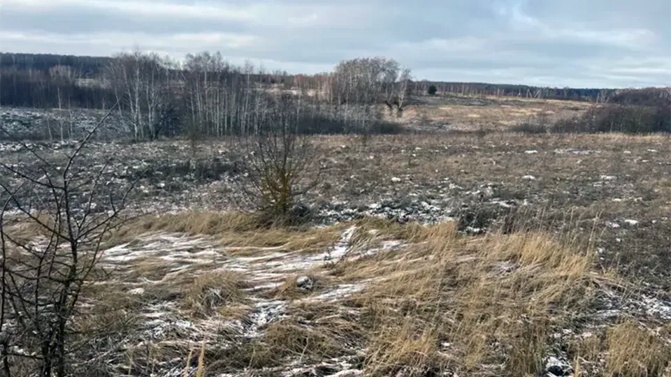 Фото: Комитет по конкурентной политике МО