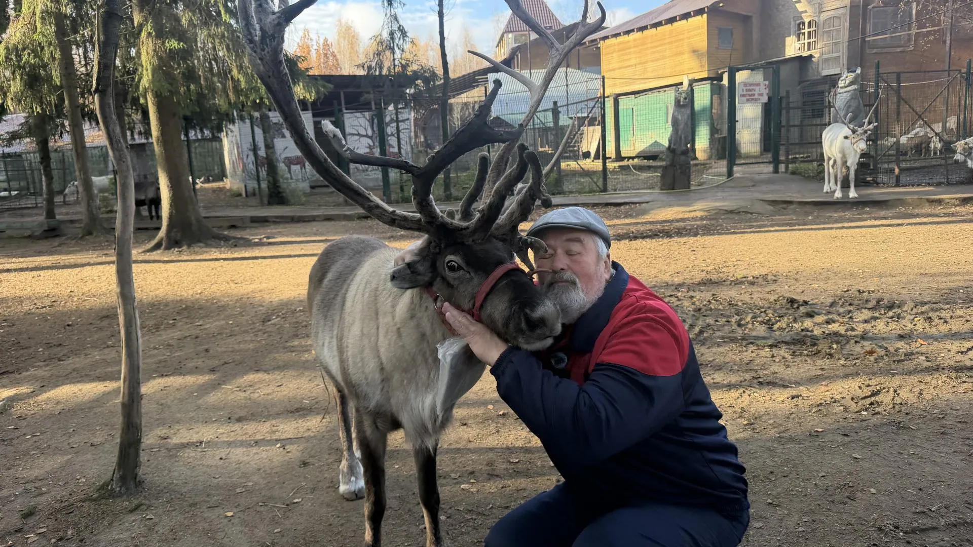 Картинка