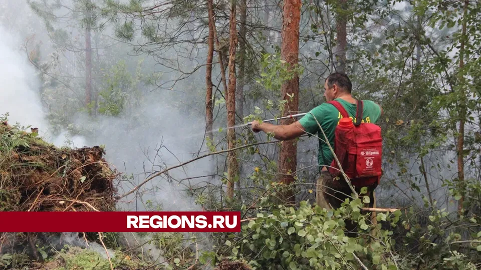Фото: REGIONS/Василий Тремасов