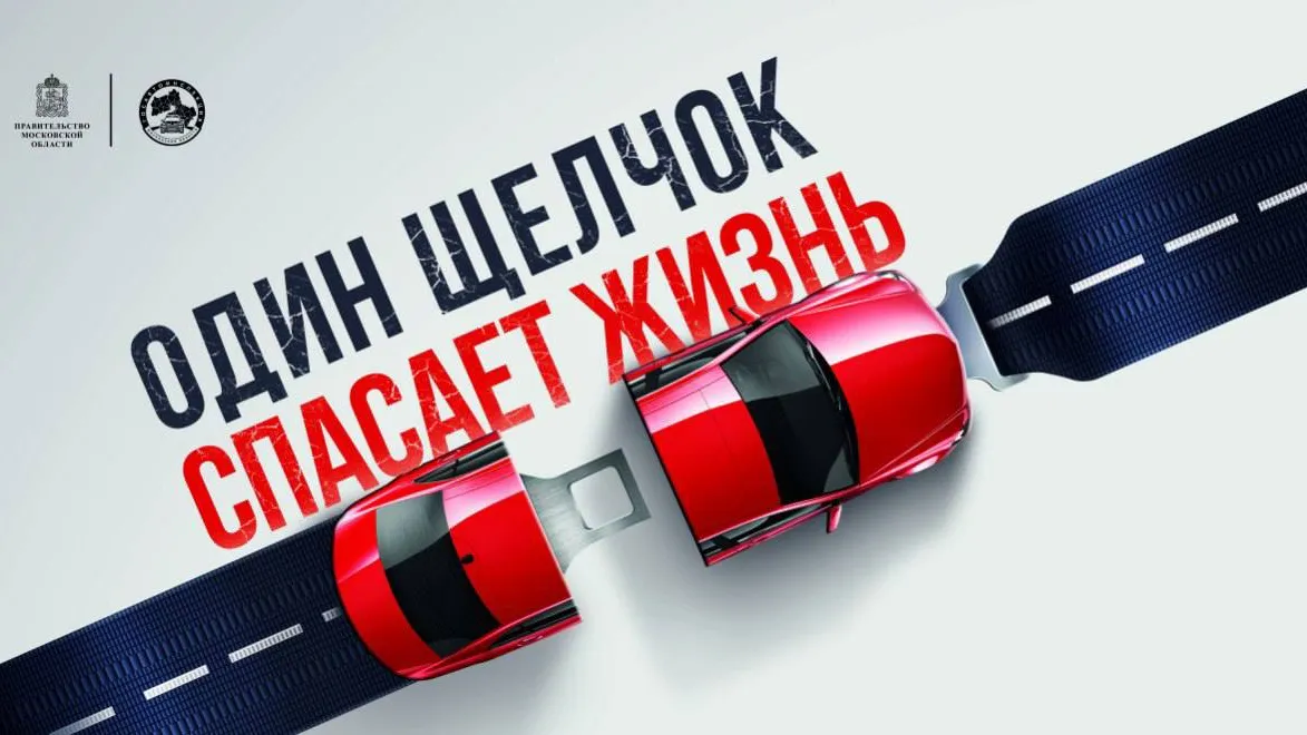 Фото: Госавтоинспекция Московской области