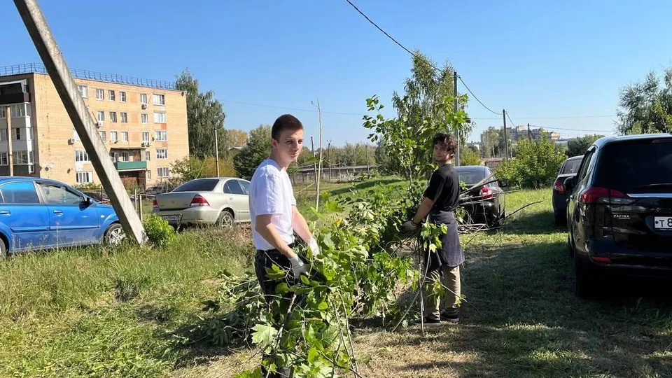 Картинка