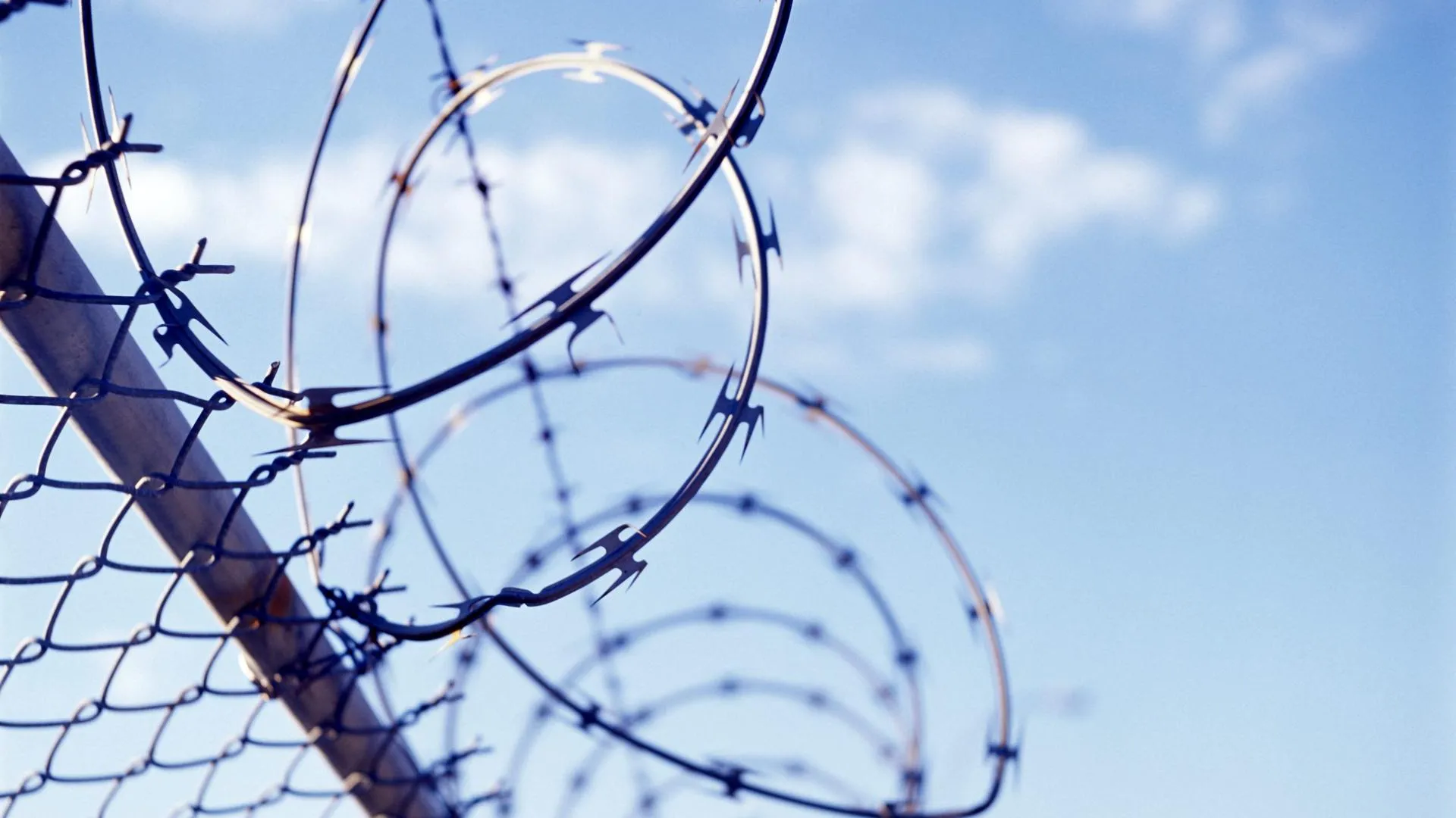 Barbed Wire Barrier