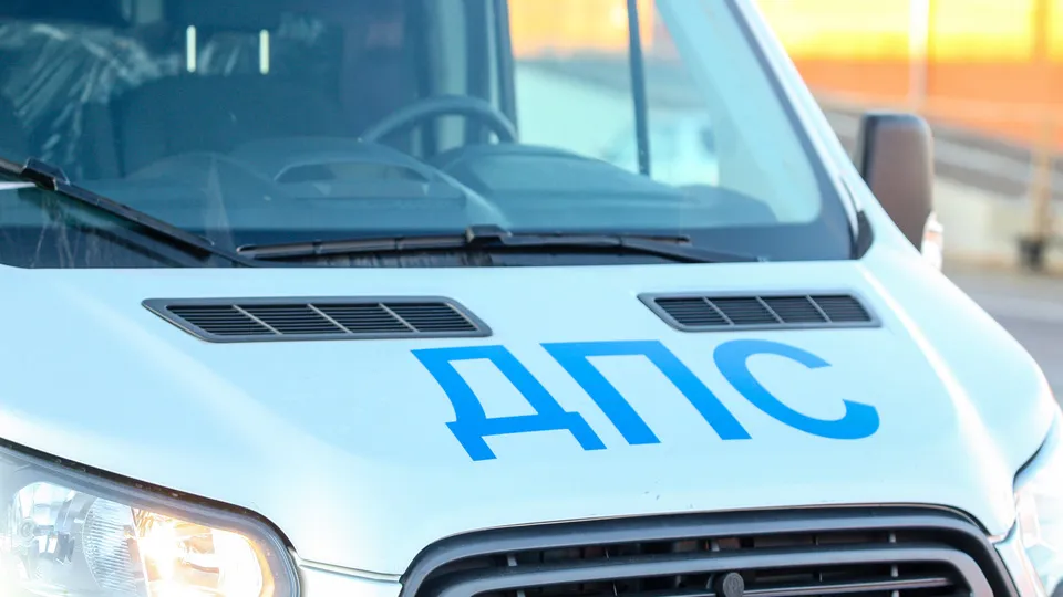 Фото: пресс-служба администрации г.о. Кашира