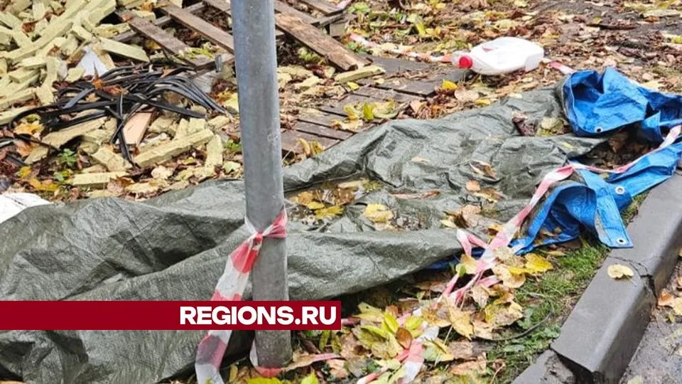 Фото предоставлено жительницей Жуковского