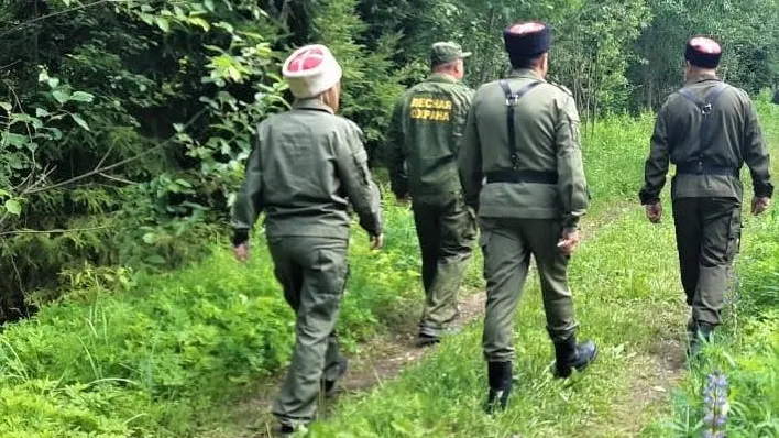 Фото: Комитет лесного хозяйства Московской области