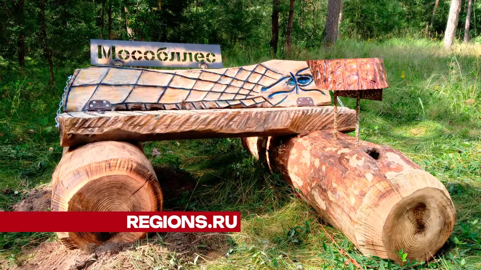 Фото: REGIONS/Василий Тремасов