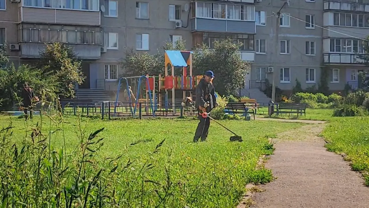 Картинка