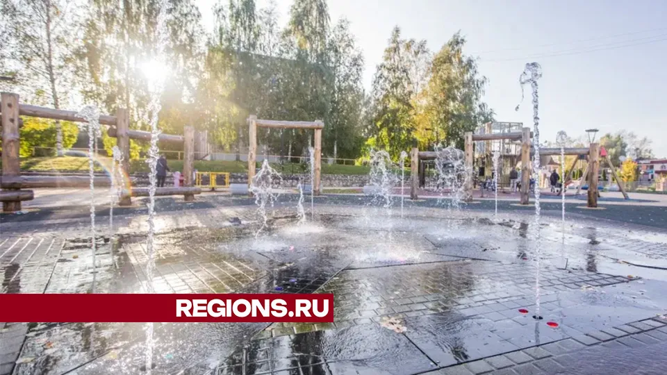 Фото: Министерство благоустройства Московской области