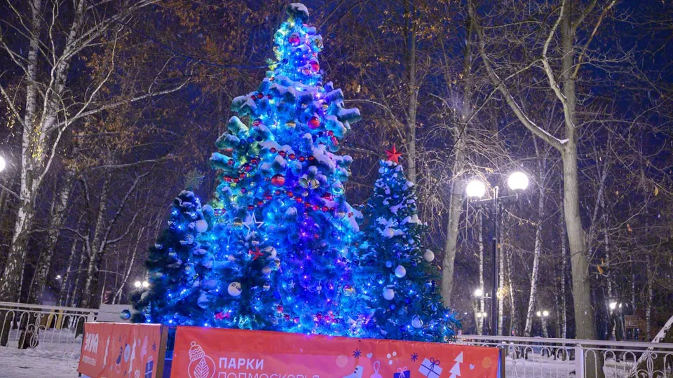 Фото: пресс-служба администрации г.о. Лыткарино