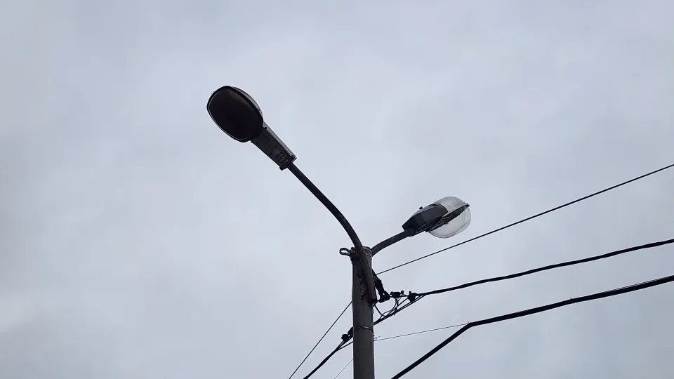 Фото: МедиаБанк Подмосковья/Валерия Исаева