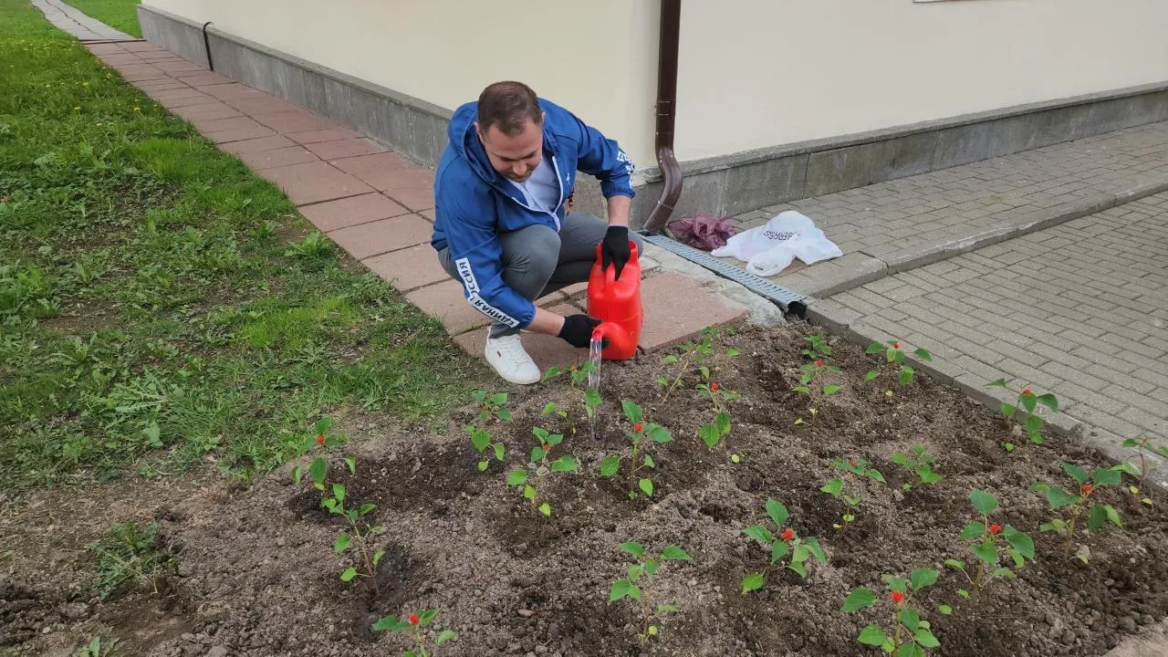 Картинка