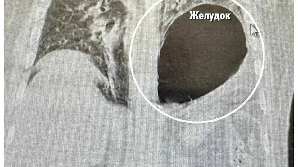 Фото:&nbsp;пресс-служба Минздрава МО