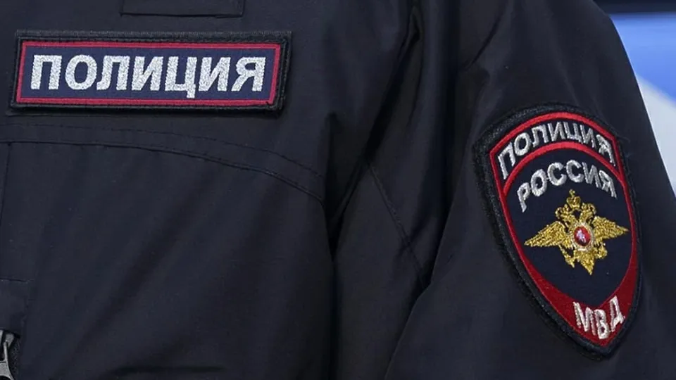 Фото: пресс-служба МВД России