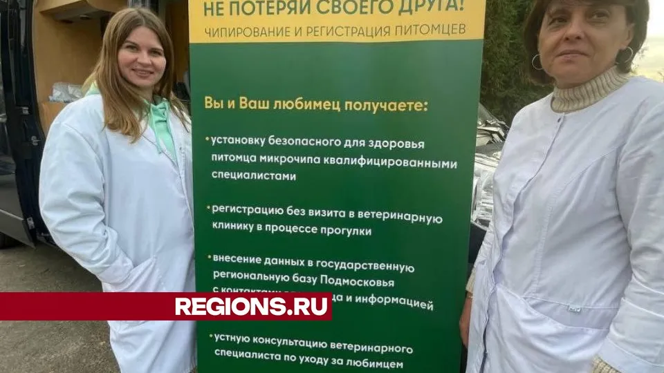 Фото: REGIONS/Евгений Рой