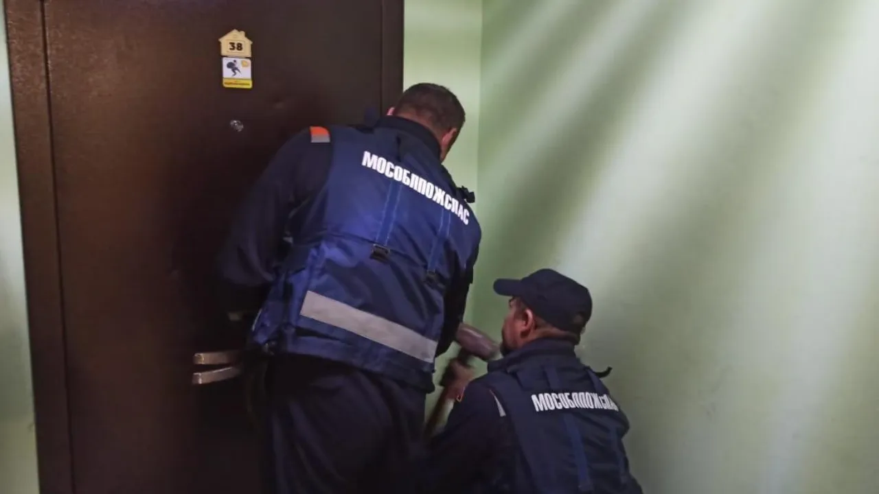Картинка