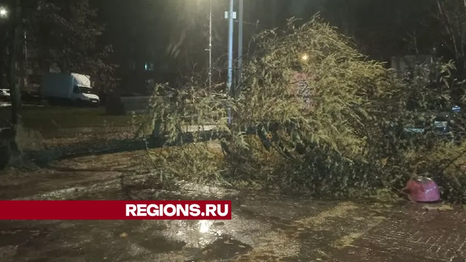 Фото: REGIONS/Юлия Павлова