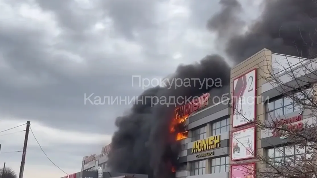 Прокуратура Калининградской области