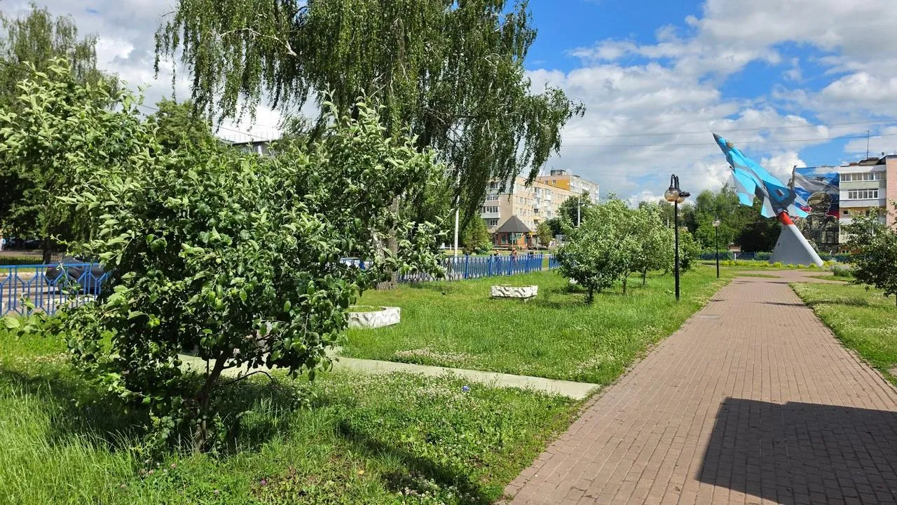 Картинка