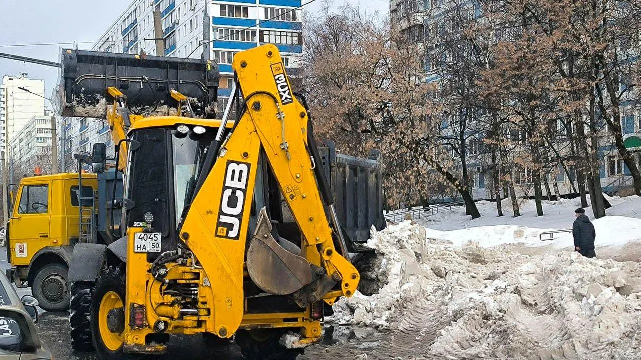 «Само растает»: как безобидная фраза мэра Новосибирска стала вирусным мемом