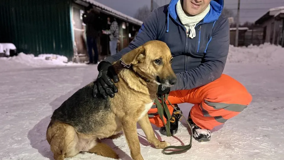 Фото: администрация городского округа Химки