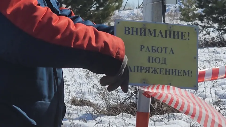 Фото: МедиаБанк Подмосковья/Марина Анисимова
