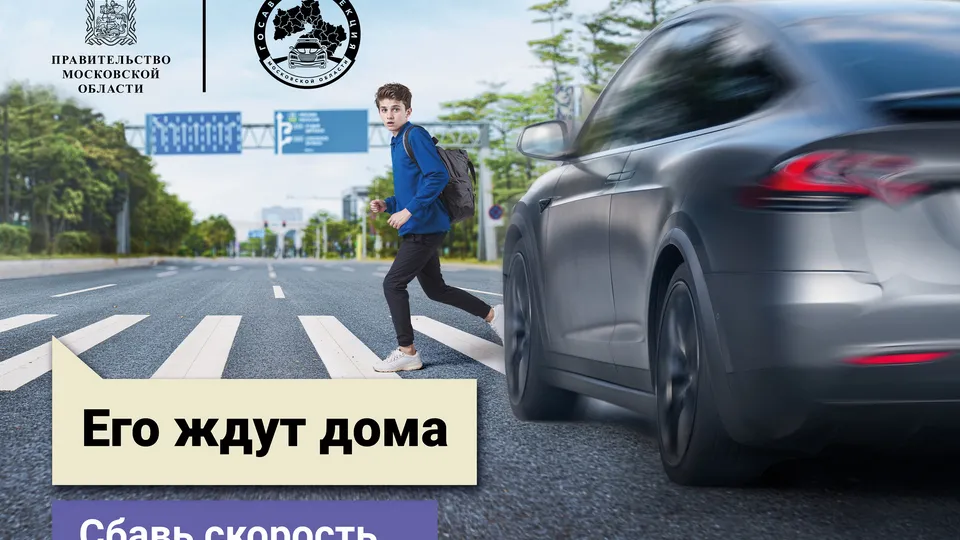 Фото: Госавтоинспекция по Московской области