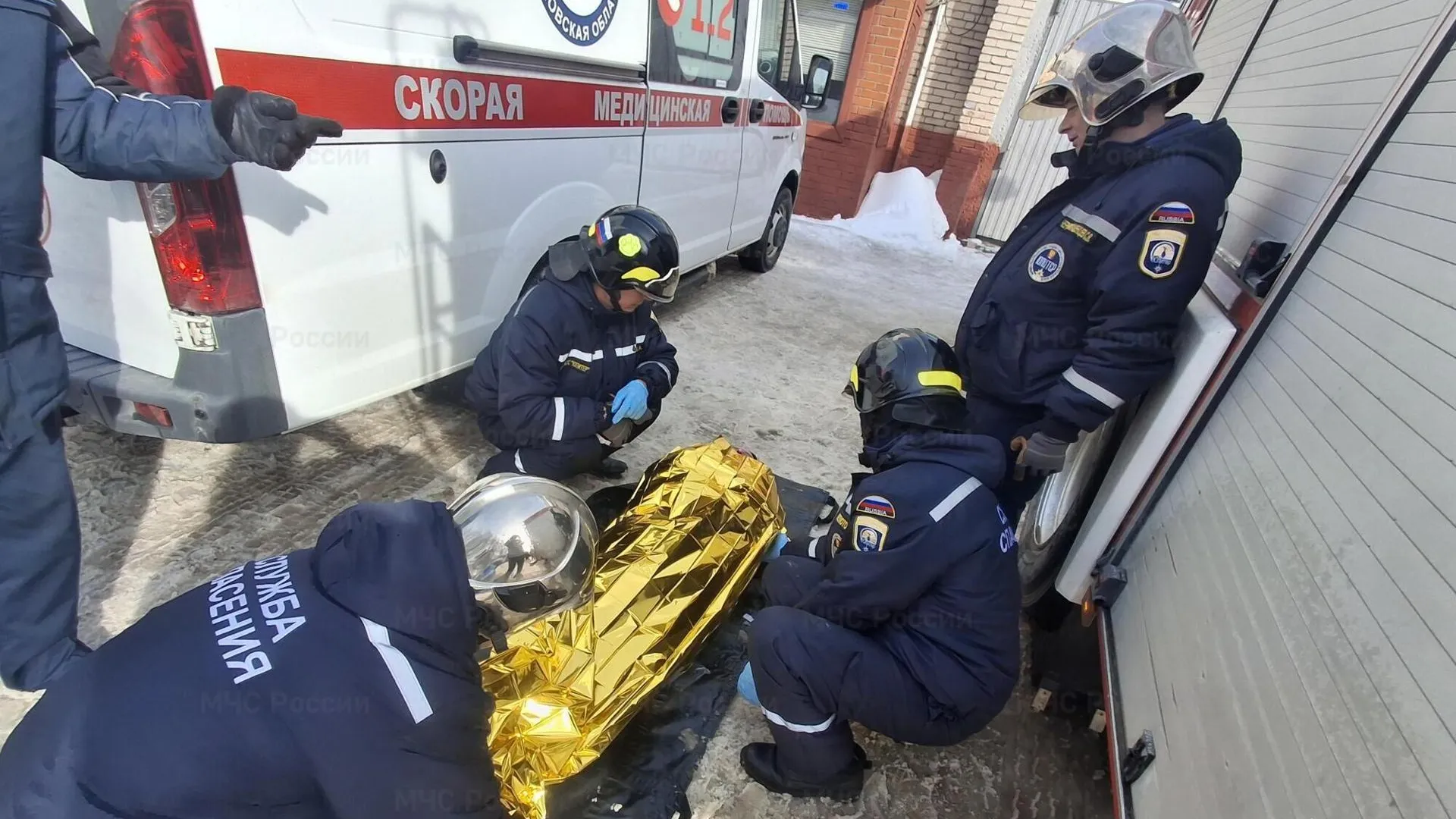Картинка