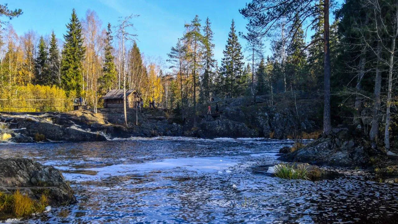 Картинка