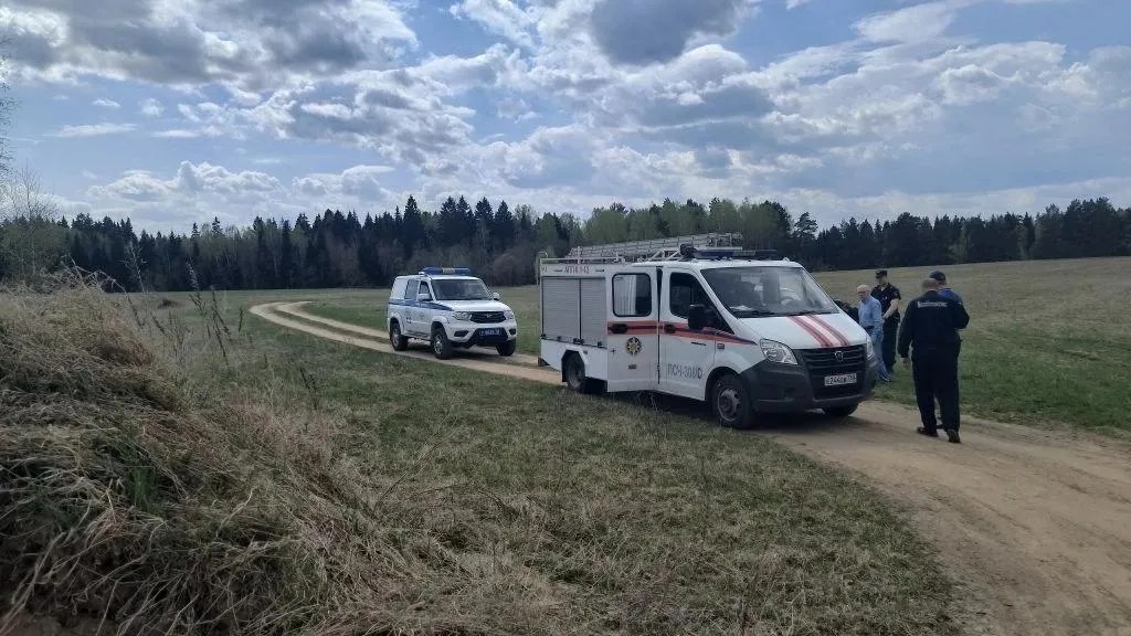 Картинка