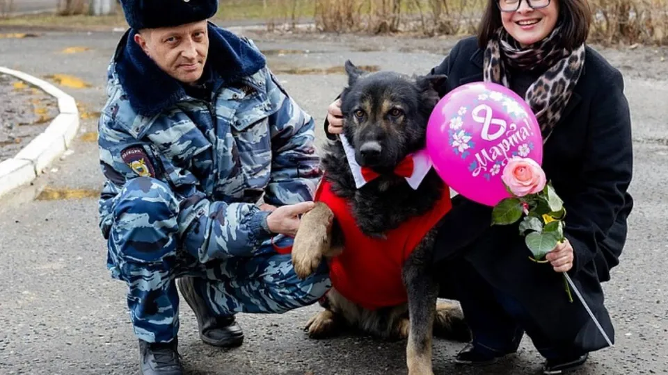 Фото: пресс-служба администрации г.о. Воскресенск