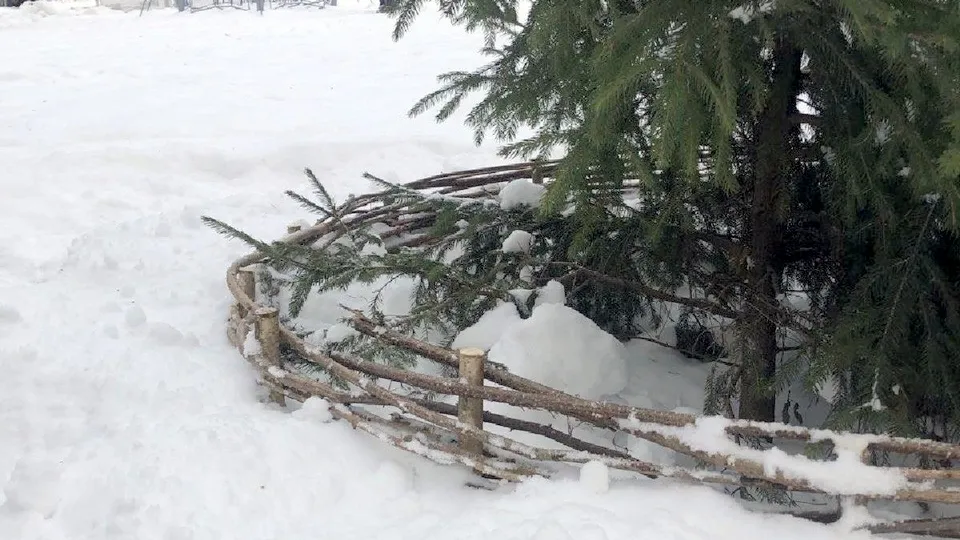 Фото: администрация Одинцовского городского округа