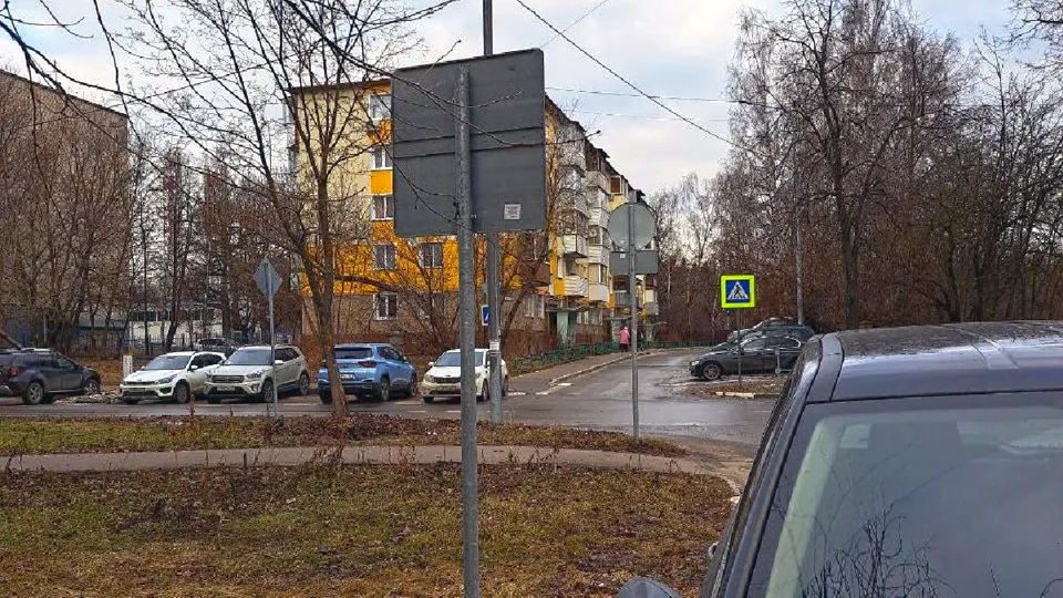 Фото: пресс-служба администрации г.о. Лосино-Петровский