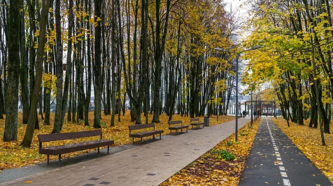 Осенние виды парка в Солнечногорске