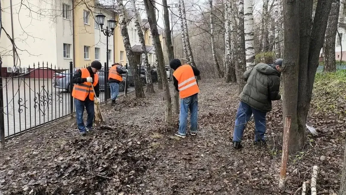 Картинка