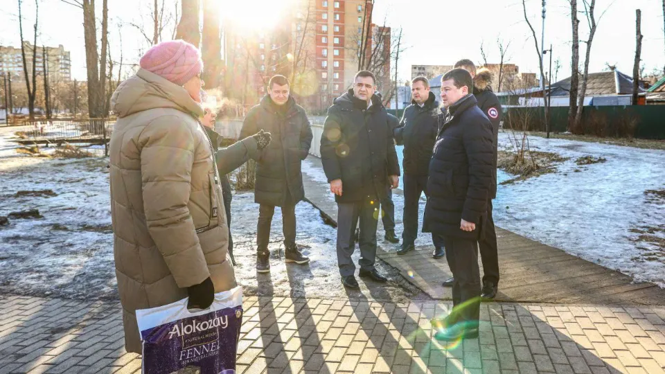 Фото: Раменский медиацентр