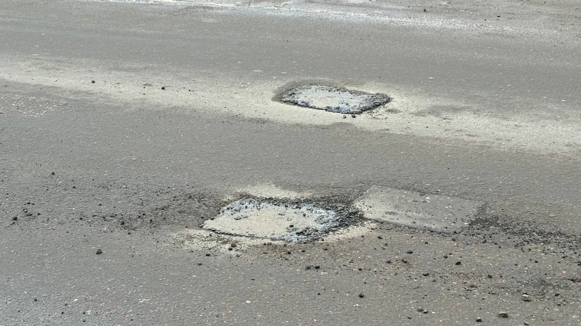 Фото: Светлана Плотникова