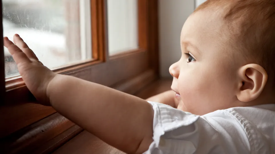 Фото: istockphoto.com