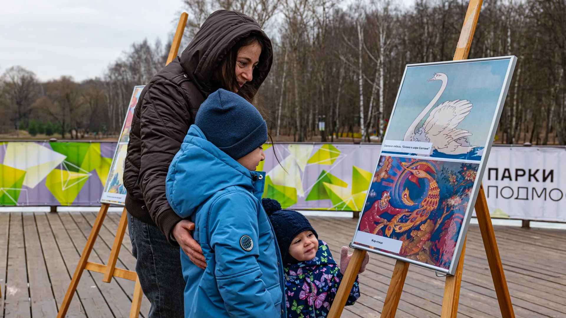 Картинка
