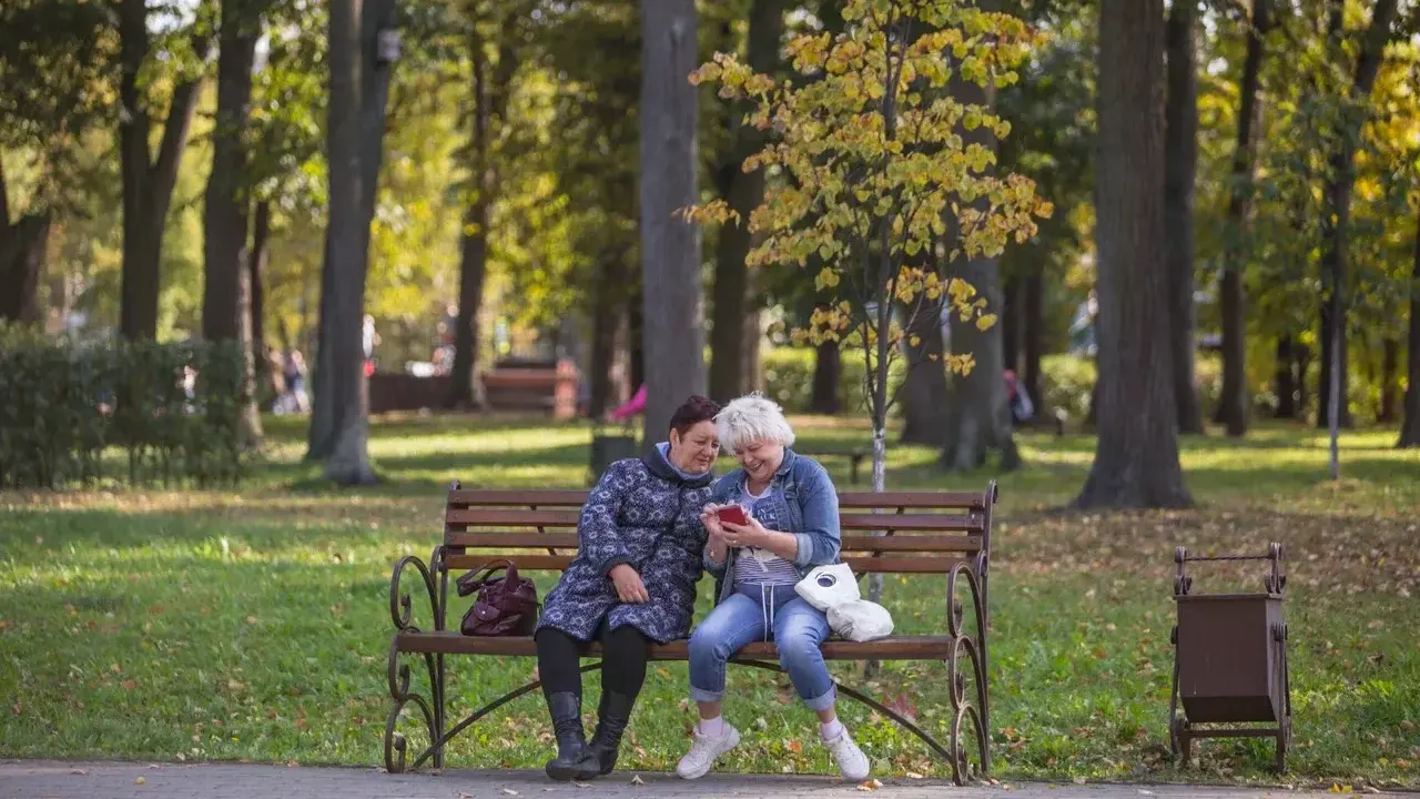 Фото: Министерство благоустройства Московской области